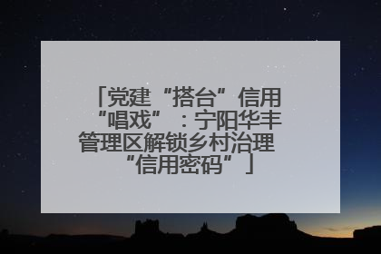 党建“搭台”信用“唱戏”：宁阳华丰管理区解锁乡村治理“信用密码”