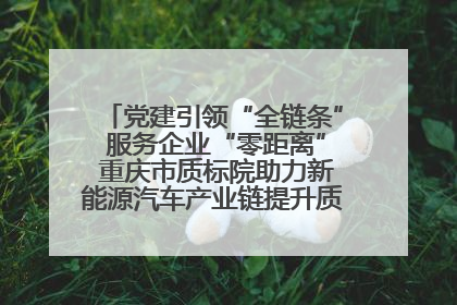 党建引领“全链条” 服务企业“零距离” 重庆市质标院助力新能源汽车产业链提升质量管理水平