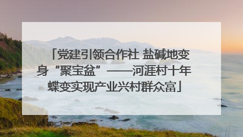 党建引领合作社 盐碱地变身“聚宝盆”——河涯村十年蝶变实现产业兴村群众富
