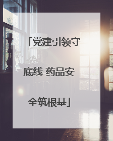 党建引领守底线 药品安全筑根基