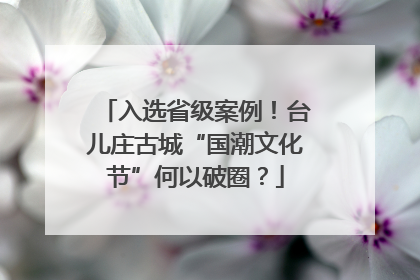 入选省级案例！台儿庄古城“国潮文化节”何以破圈？