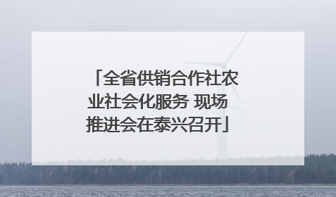 全省供销合作社农业社会化服务 现场推进会在泰兴召开