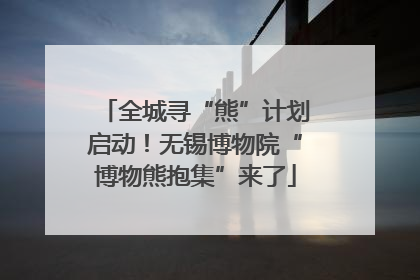 全城寻“熊”计划启动！无锡博物院“博物熊抱集”来了