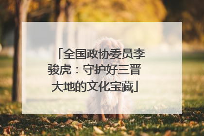 全国政协委员李骏虎：守护好三晋大地的文化宝藏