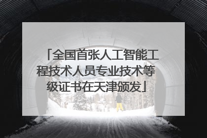 全国首张人工智能工程技术人员专业技术等级证书在天津颁发