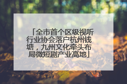 全市首个区级视听行业协会落户杭州钱塘，九州文化牵头布局微短剧产业高地
