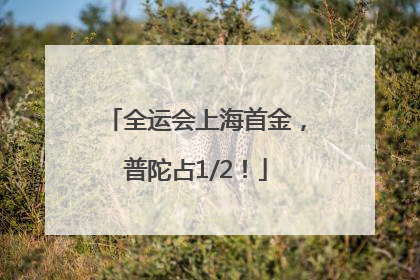 全运会上海首金，普陀占1/2！