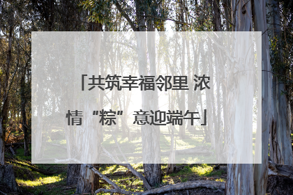 共筑幸福邻里 浓情“粽”意迎端午
