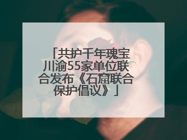 共护千年瑰宝 川渝55家单位联合发布《石窟联合保护倡议》