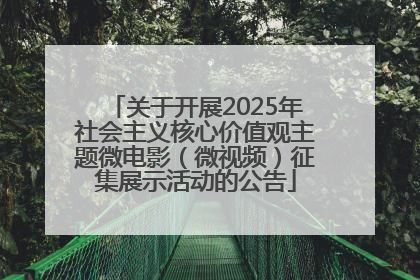 关于开展2025年社会主义核心价值观主题微电影（微视频）征集展示活动的公告