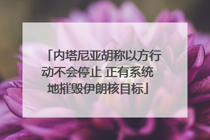 内塔尼亚胡称以方行动不会停止 正有系统地摧毁伊朗核目标