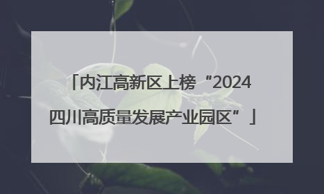 内江高新区上榜“2024四川高质量发展产业园区”