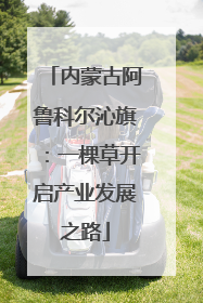 内蒙古阿鲁科尔沁旗：一棵草开启产业发展之路