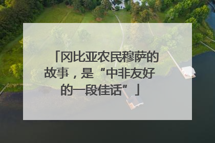 冈比亚农民穆萨的故事，是“中非友好的一段佳话”