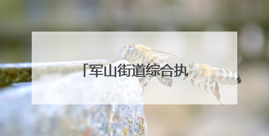 军山街道综合执法中心开展燃气食品双检护考行动