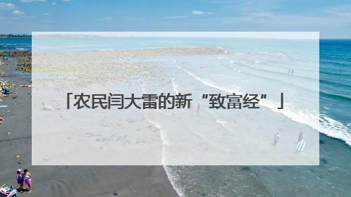 农民闫大雷的新“致富经”
