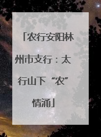 农行安阳林州市支行：太行山下“农”情涌