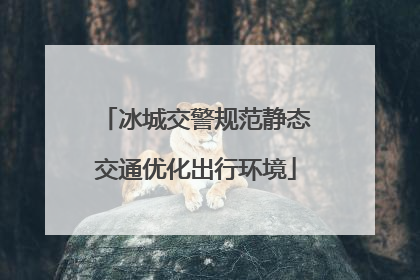 冰城交警规范静态交通优化出行环境