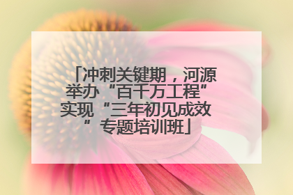 冲刺关键期，河源举办“百千万工程”实现“三年初见成效”专题培训班