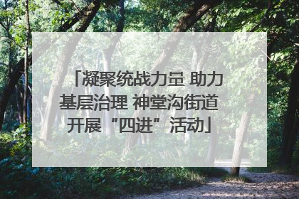 凝聚统战力量 助力基层治理 神堂沟街道开展“四进”活动