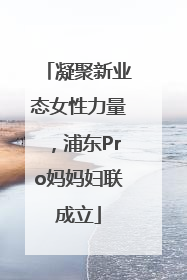 凝聚新业态女性力量，浦东Pro妈妈妇联成立