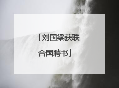 刘国梁获联合国聘书