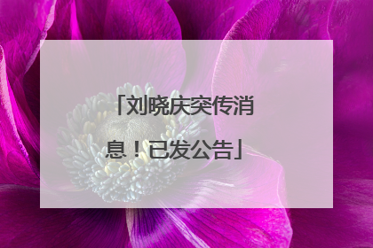 刘晓庆突传消息！已发公告