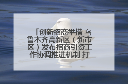 创新招商举措 乌鲁木齐高新区（新市区）发布招商引资工作协调推进机制 打造投资发展新高地