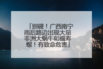 别碰！广西南宁雨后路边出现大量非洲大蜗牛和福寿螺！有致命危害