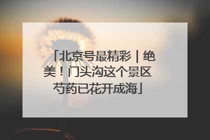 北京号最精彩｜绝美！门头沟这个景区芍药已花开成海