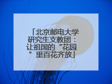 北京邮电大学研究生支教团：让祖国的“花园”里百花齐放