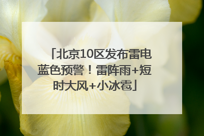 北京10区发布雷电蓝色预警！雷阵雨+短时大风+小冰雹