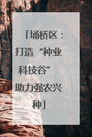埇桥区：打造“种业科技谷” 助力强农兴种