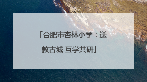 合肥市杏林小学：送教古城 互学共研
