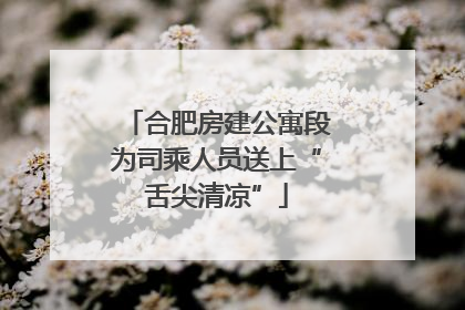 合肥房建公寓段为司乘人员送上“舌尖清凉”