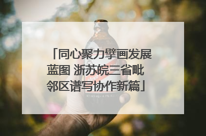 同心聚力擘画发展蓝图 浙苏皖三省毗邻区谱写协作新篇