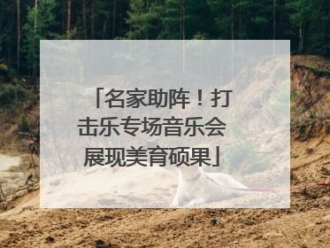 名家助阵！打击乐专场音乐会展现美育硕果