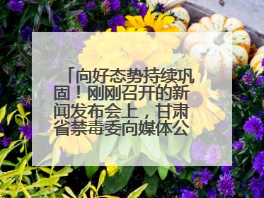 向好态势持续巩固！刚刚召开的新闻发布会上，甘肃省禁毒委向媒体公布三年禁毒工作“成绩单”