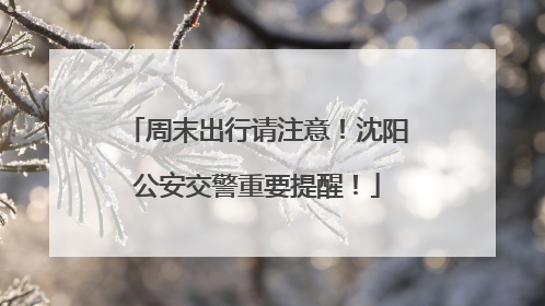 周末出行请注意！沈阳公安交警重要提醒！