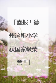 喜报！德州这所小学获国家级荣誉！