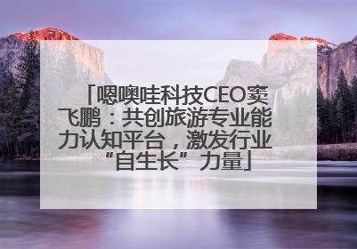 嗯噢哇科技CEO窦飞鹏：共创旅游专业能力认知平台，激发行业“自生长”力量