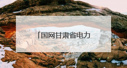 国网甘肃省电力公司：粽香迎端午 保电护安康