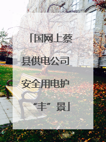 国网上蔡县供电公司安全用电护“丰”景