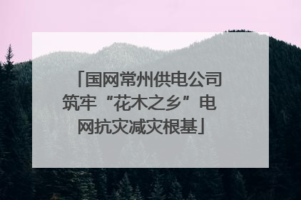 国网常州供电公司筑牢“花木之乡”电网抗灾减灾根基