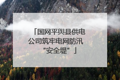 国网平舆县供电公司筑牢电网防汛“安全堤”