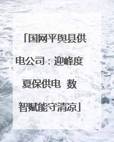 国网平舆县供电公司：迎峰度夏保供电  数智赋能守清凉