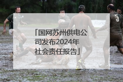 国网苏州供电公司发布2024年社会责任报告