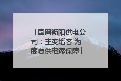 国网衡阳供电公司：主变增容 为度夏供电添保障