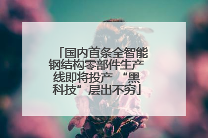 国内首条全智能钢结构零部件生产线即将投产 “黑科技”层出不穷