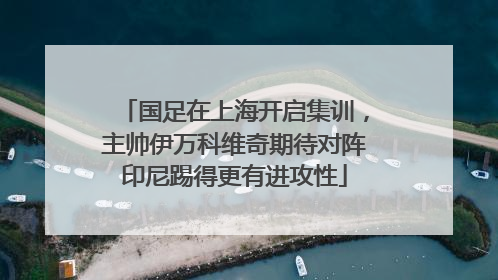 国足在上海开启集训，主帅伊万科维奇期待对阵印尼踢得更有进攻性